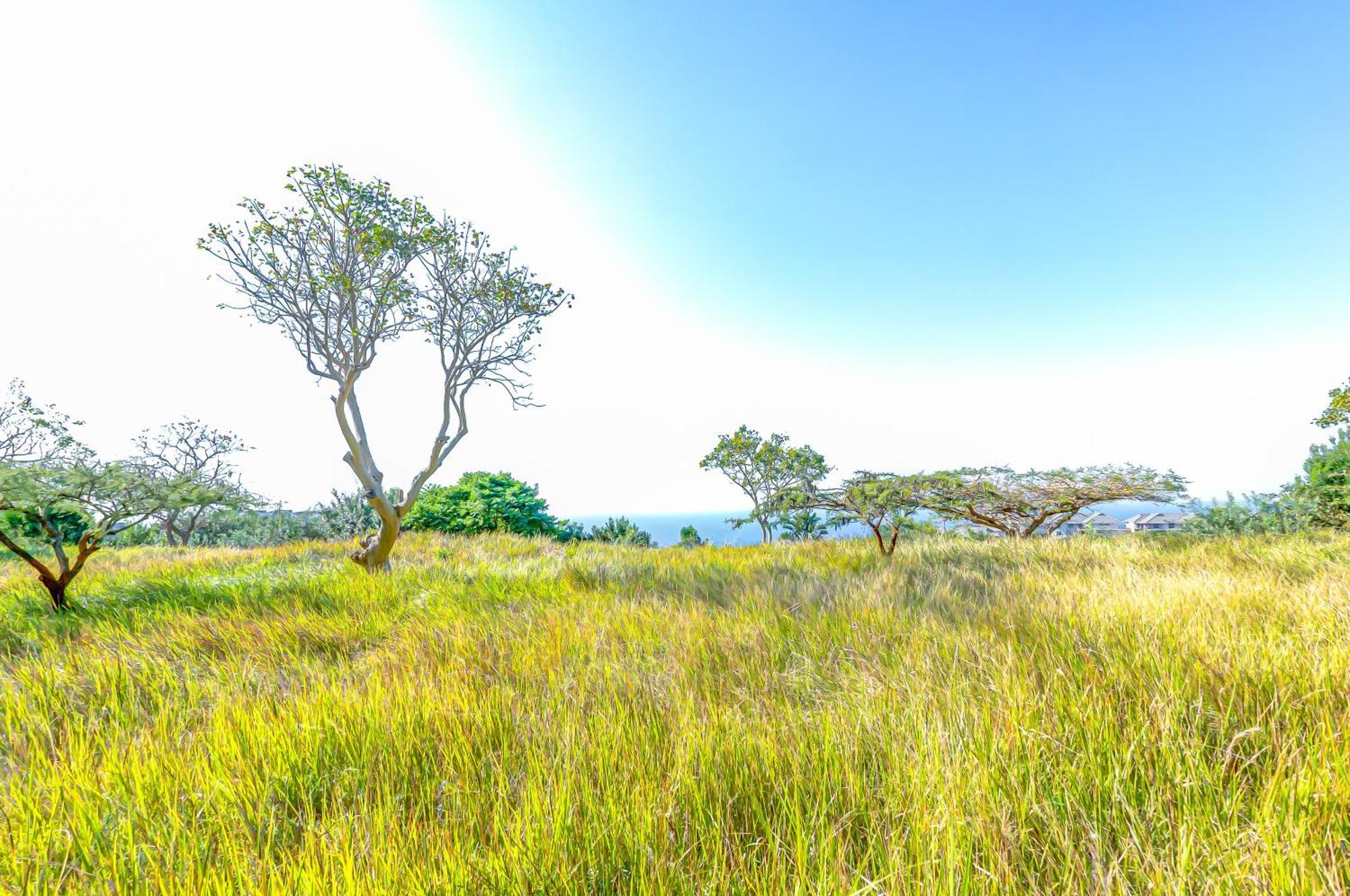 14 Tamboti, Simbithi Eco Estate * Ballito